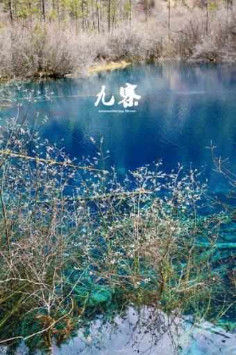 寒假:千万警惕孩子视力下降!这5点一定提醒孩子!